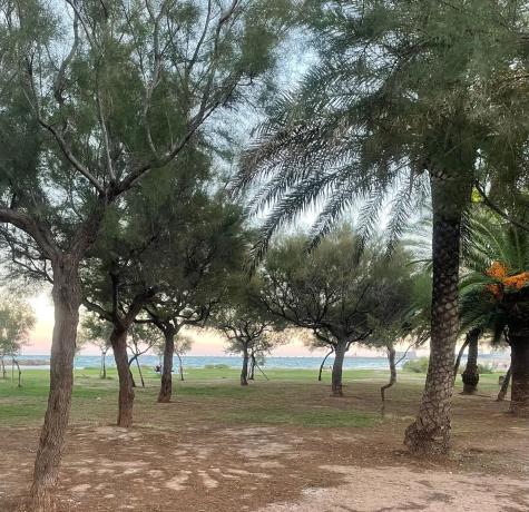 Terreno en calle Juan Molinero