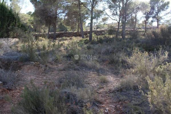 Terreno en Algar de Palancia