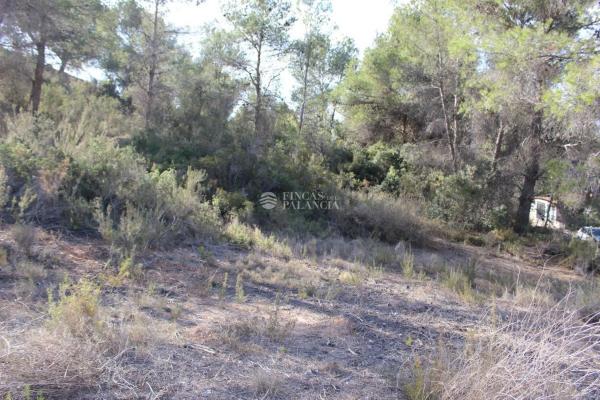Terreno en Algar de Palancia