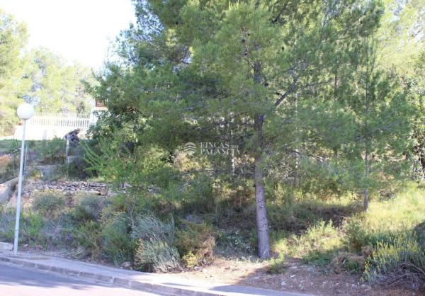 Terreno en Algar de Palancia