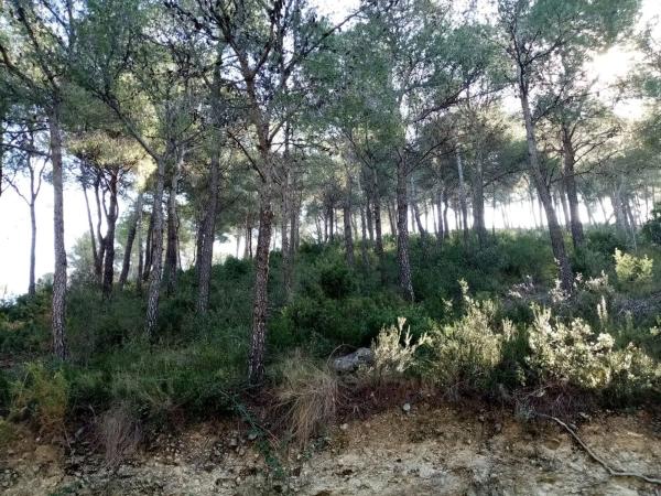 Terreno en Urbanización el Tochar, 130