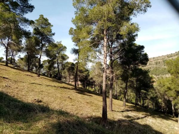 Terreno en Urbanización el Tochar, 130