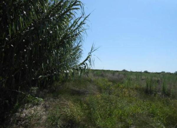 Terreno en avenida de Montiber