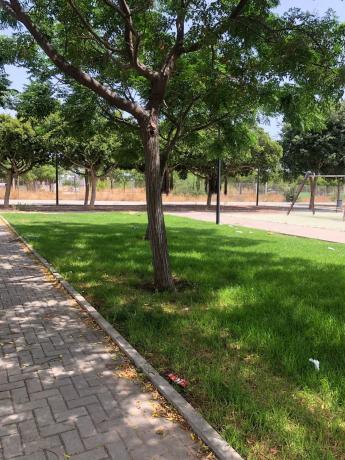 Terreno en calle Rafael Alberti, 5