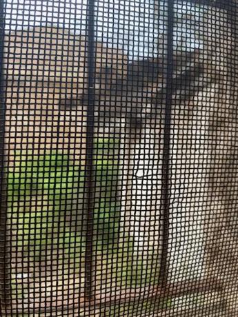 Terreno en San Antoni, 10