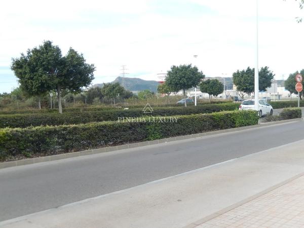 Terreno en avenida Fausto Caruana