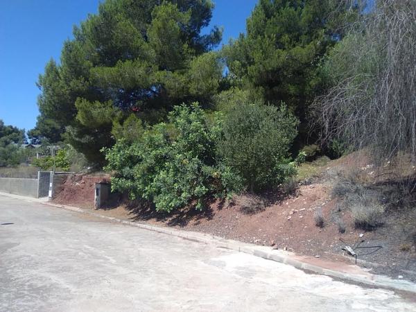 Terreno en Torres-Torres