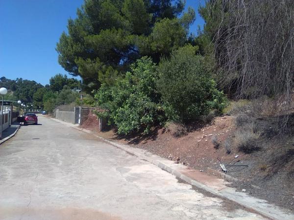Terreno en Torres-Torres