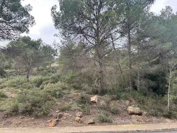 Terreno en Algar de Palancia