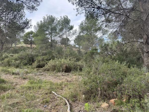 Terreno en Algar de Palancia