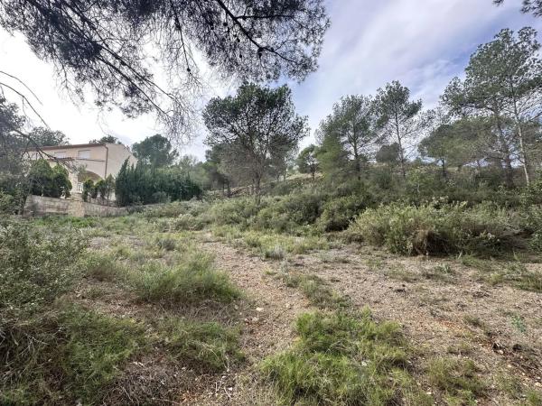 Terreno en Algar de Palancia