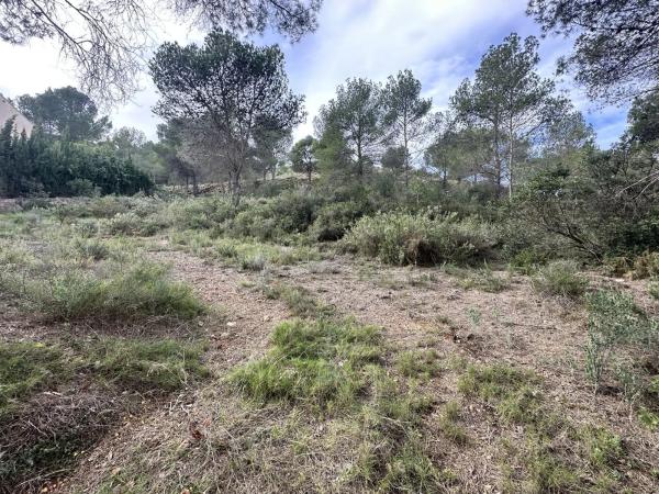 Terreno en Algar de Palancia