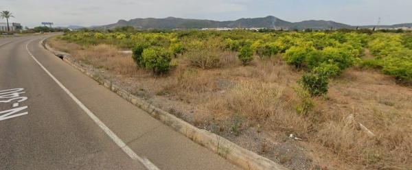 Terreno en Alqueria Blanca s/n
