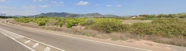 Terreno en Alqueria Blanca s/n