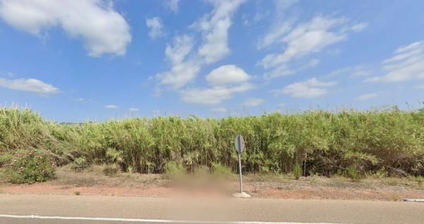 Terreno en Alqueria Blanca s/n