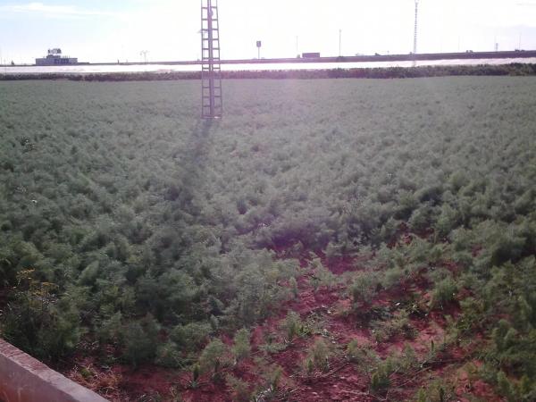 Terreno en camino de Gausa, km 6