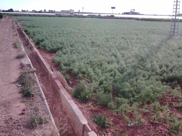 Terreno en camino de Gausa, km 6