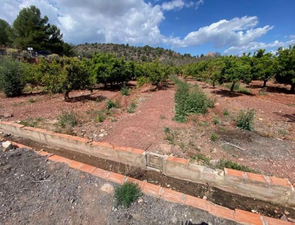 Terreno en plaza Poligono 14, 5 D