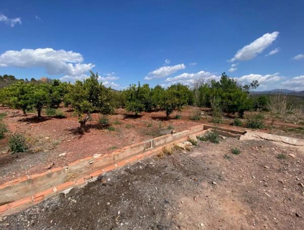 Terreno en plaza Poligono 14, 5 D