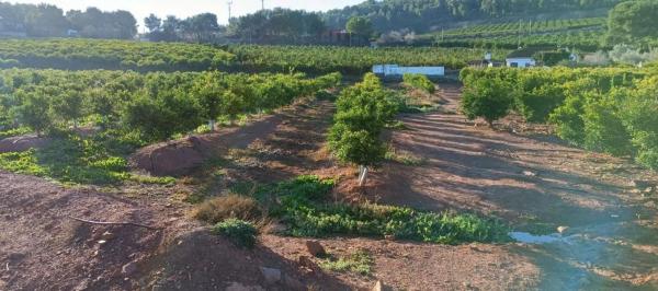 Terreno en plaza Poligono 14, 5 D