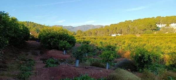 Terreno en plaza Poligono 14, 5 D