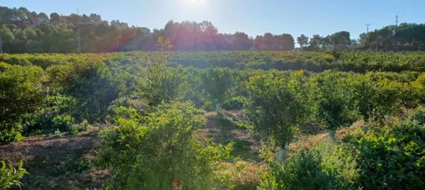 Terreno en plaza Poligono 14, 5 D
