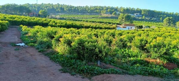 Terreno en plaza Poligono 14, 5 D