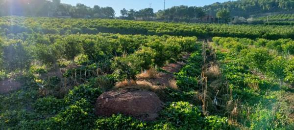 Terreno en plaza Poligono 14, 5 D