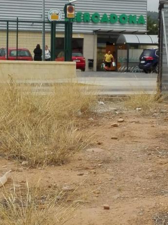 Terreno en pla de maresme s/n