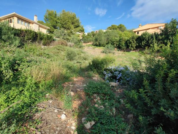 Terreno en calle Puig De Santa Maria, 391