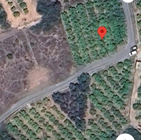 Terreno en calle Major s/n Partidacaa