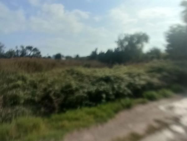 Terreno en avenida Corint