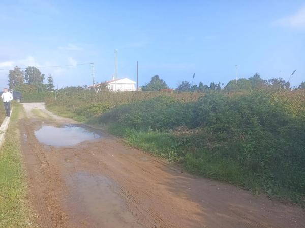Terreno en avenida Corint