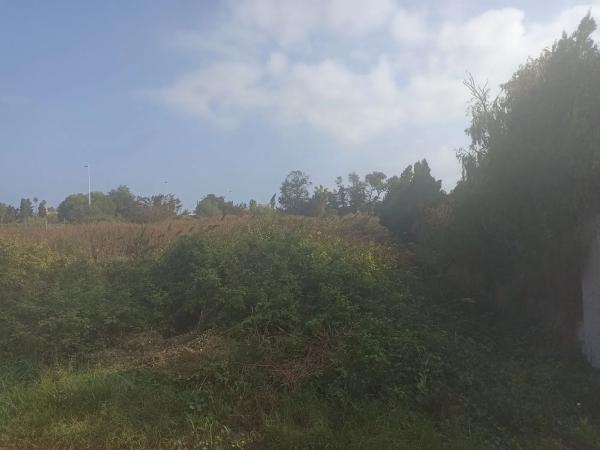 Terreno en avenida Corint