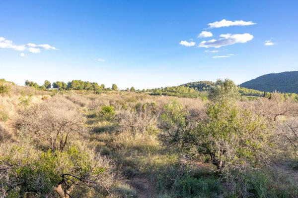 Terreno en Polígono 4