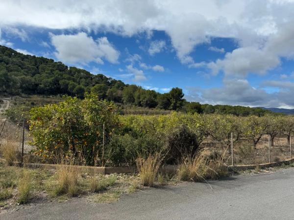 Terreno en Finca Peña Negra, Camino viejo de Teruel s/n