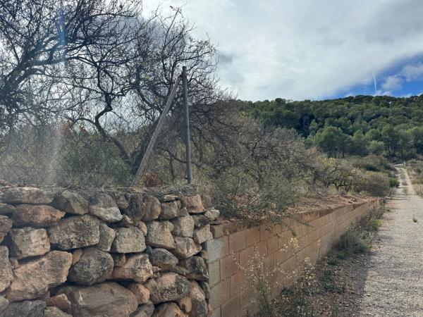 Terreno en Finca Peña Negra, Camino viejo de Teruel s/n
