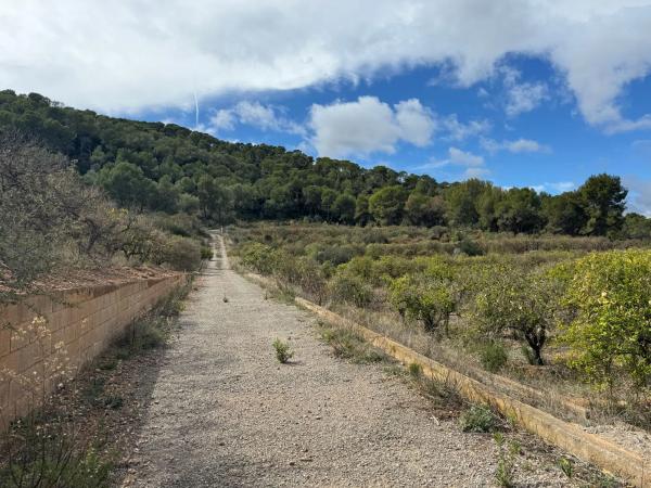 Terreno en Finca Peña Negra, Camino viejo de Teruel s/n