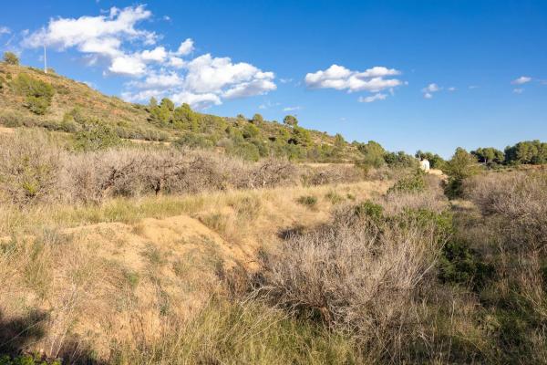 Terreno en Polígono 4