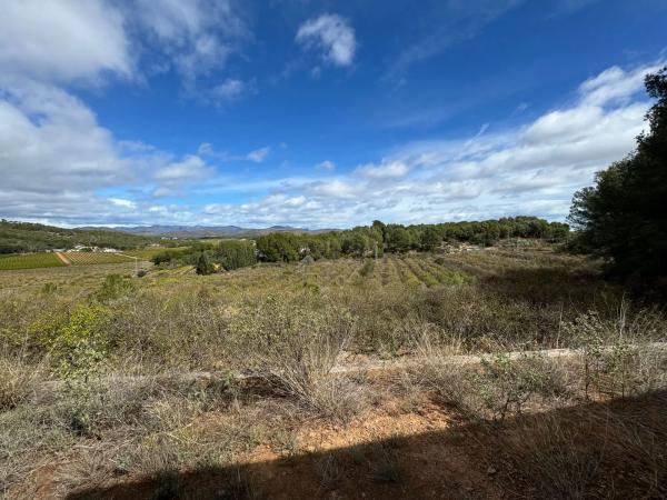 Terreno en Finca Peña Negra, Camino viejo de Teruel s/n
