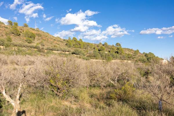 Terreno en Polígono 4
