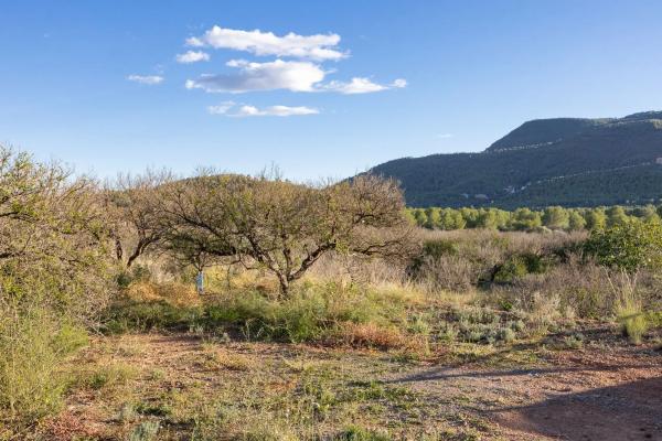 Terreno en Polígono 4