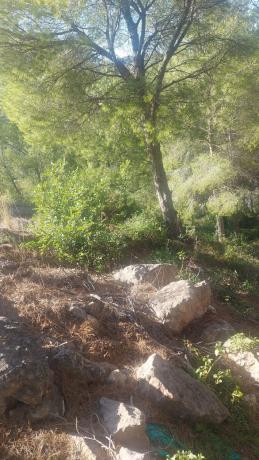 Terreno en avenida santo espiritu, 46