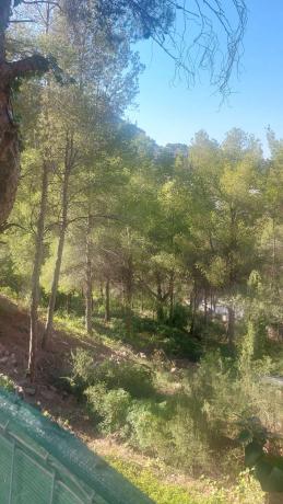 Terreno en avenida santo espiritu, 46