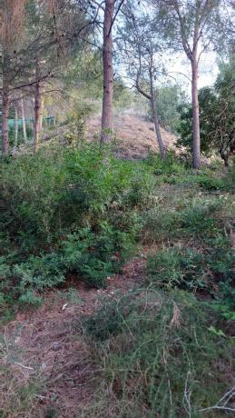 Terreno en avenida santo espiritu, 46