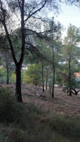 Terreno en avenida santo espiritu, 46