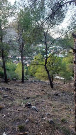 Terreno en avenida santo espiritu, 46