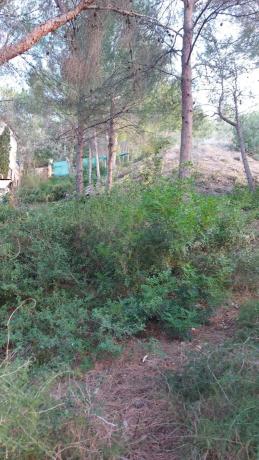 Terreno en avenida santo espiritu, 46