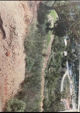 Terreno en calle I los Monasterios Sect, 17