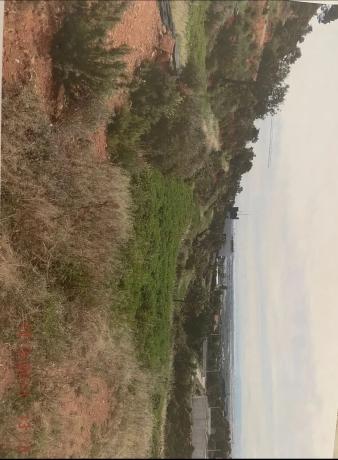 Terreno en calle I los Monasterios Sect, 17